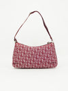 CHRISTIAN DIOR MONOGRAM BAG