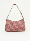 CHRISTIAN DIOR MONOGRAM BAG