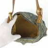 LOUIS VUITTON BAGGY PM DENIM SHOULDER BAG