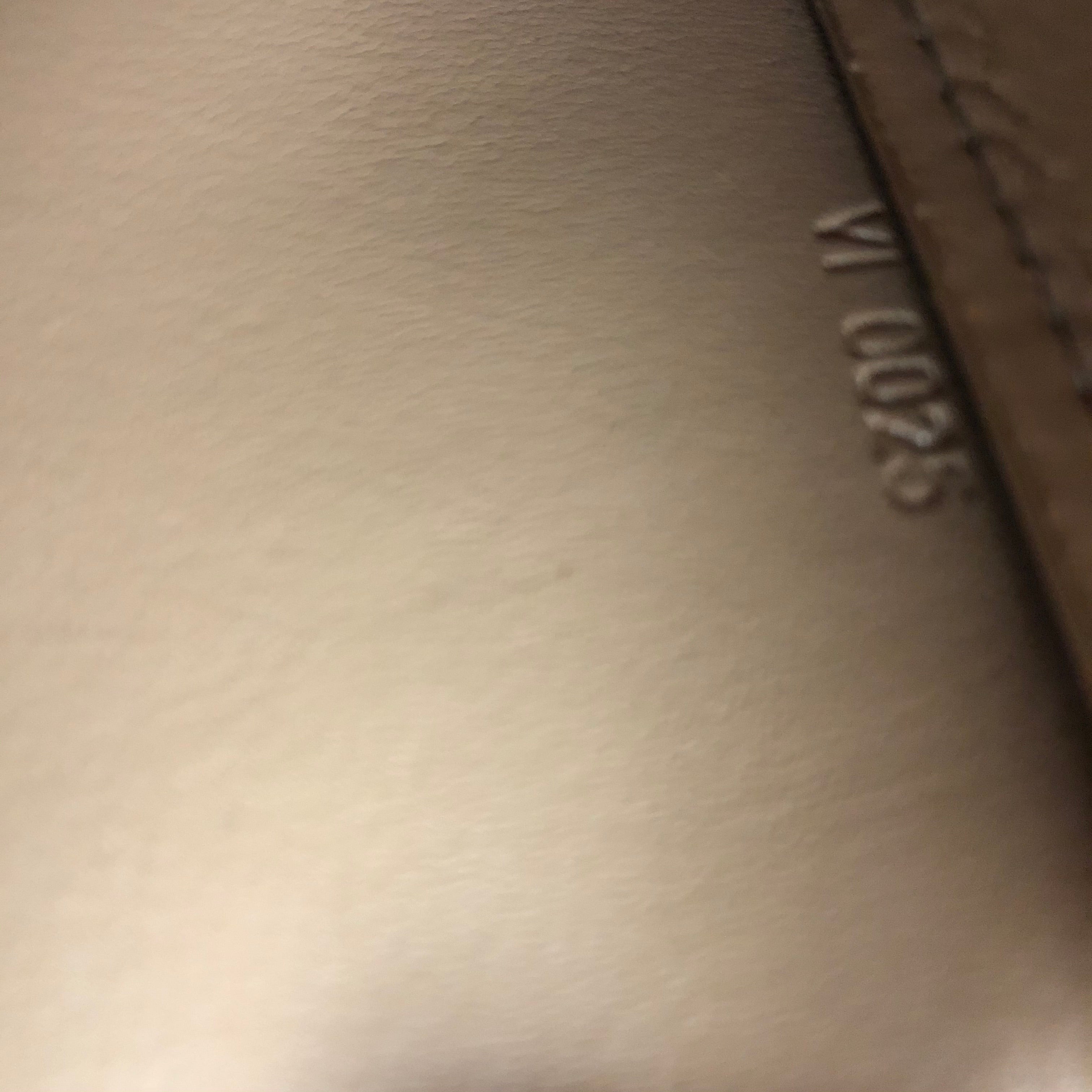 Louis Vuitton Lexington Pochette Shoulder Bag